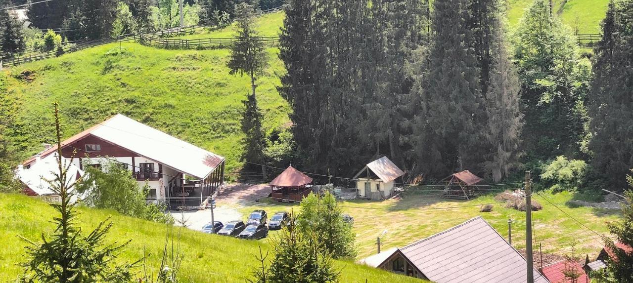 Pensiunea Trei Brazi Arieşeni Exteriör bild