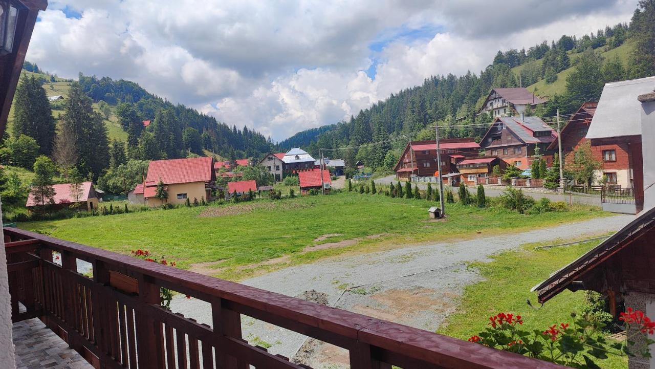 Pensiunea Trei Brazi Arieşeni Exteriör bild