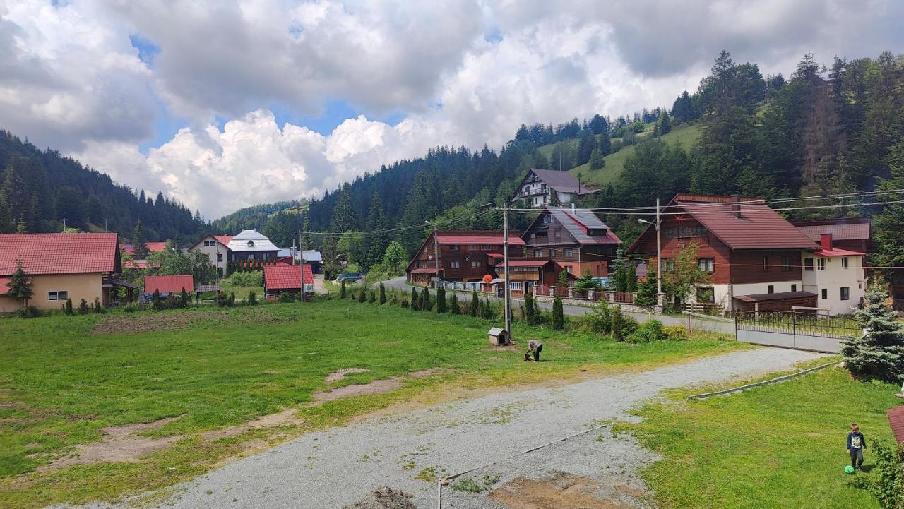 Pensiunea Trei Brazi Arieşeni Exteriör bild